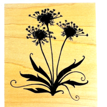 Great Impressions Dandy Lion Floral Shadow Rubber Stamp H186 - £7.96 GBP