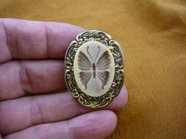 (cs3-16) BUTTERFLY CAMEO ivory + brown Pin Pendant jewelry I love butterflies - £23.15 GBP