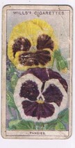 Wills Cigarette Card Garden Flowers #34 Pansies - £0.76 GBP