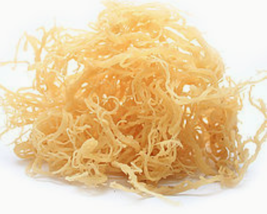Rastarafi® Sea Moss Irish Moss 10 lb (Bulk) | Raw Wildcrafted Seamoss Su... - £125.82 GBP