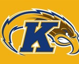 Kent State Golden Flashes Flag 3x5ft - £12.52 GBP
