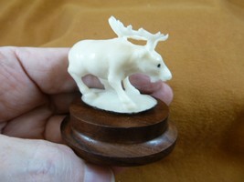 TB-MOO-11) white Moose elk deer walking tagua nut figurine Bali detailed... - £37.46 GBP
