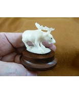 TB-MOO-11) white Moose elk deer walking tagua nut figurine Bali detailed... - $892.94 MXN