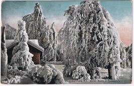 Postcard Niagara Falls New York Winter Scene In Prospect Park - £3.10 GBP