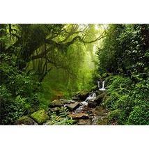10X8Ft Graceful Natural Scenery Backdrop Evergreen Forest Jungle Rock Flowing Mo - £56.87 GBP