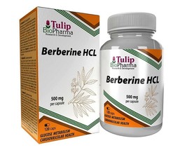 Berberine HCL 500mg 120 Caps Balance Lose Weight, Cholesterol, Heart - £16.97 GBP