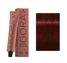 Schwarzkopf IGORA ROYAL Hair Color - 4-88 Medium Brown Red Extra