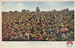 Texas Tobacco Fields Can&#39;t Be Beat~ Proof of Rich SOIL-1908 Pstmk Postcard-
s... - £7.75 GBP
