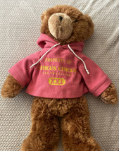Plush Teddy Bear 18” Tall Circus Circus Pink Hoodie Las Vegas - £3.78 GBP
