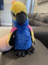 Ty Beanie Boos - WYNNIE the Hyacinth Macaw / Parrot (6 Inch) - $8.38