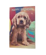 Postcard Happy Birthday Cocker Spaniel Dog North Shore Animal League Chrome - $6.83 CAD
