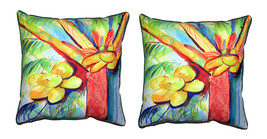 Pair of Betsy Drake Cocoa Nut Tree Outdoor Pillows 18 Inch x 18 Inch - £71.05 GBP