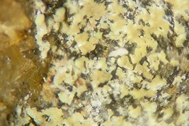 ZNUCALITE - Rare Uranium - Lill Mine, Pribram, CZECH REPUBLIC - $125.00