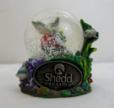 Mini 2006 Shedd Aquarium Dolphins Snow Globe Chicago Illinois Ocean Sea 45mm - $18.90