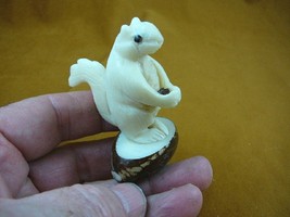 TNE-SQU-82-C) SQUIRREL Nut TAGUA Figurine carving VEGETABLE Art love squ... - $25.23