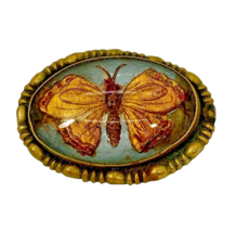 Figural Butterfly Brooch Reverse Painted Cut Oval Pin Convex Curved Glass - $48.50