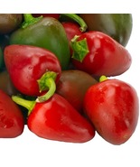 Pepper, Pimento Sweet (Capsicum annuum) - 25 Seeds - $7.50