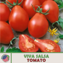 Viva Salsa Tomato Seeds, Hybrid, Non-GMO, Genuine USA 10 Seeds - £9.15 GBP