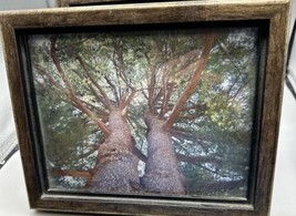 Artwork Twin Trees Signifying Loss Bird Sturbridge MA Bronze Wood Frame Glass - £18.43 GBP