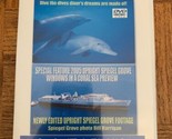 Immersioni The Sottomarino World DVD - £130.55 GBP