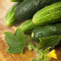 Seeds 100 Cucumber Seeds Long Green Improved Gourmet - £8.40 GBP