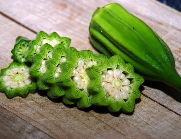 50+ Star Of David Okra Seeds - Old World Variety - HEIRLOOM - ORGANIC - ... - $9.54
