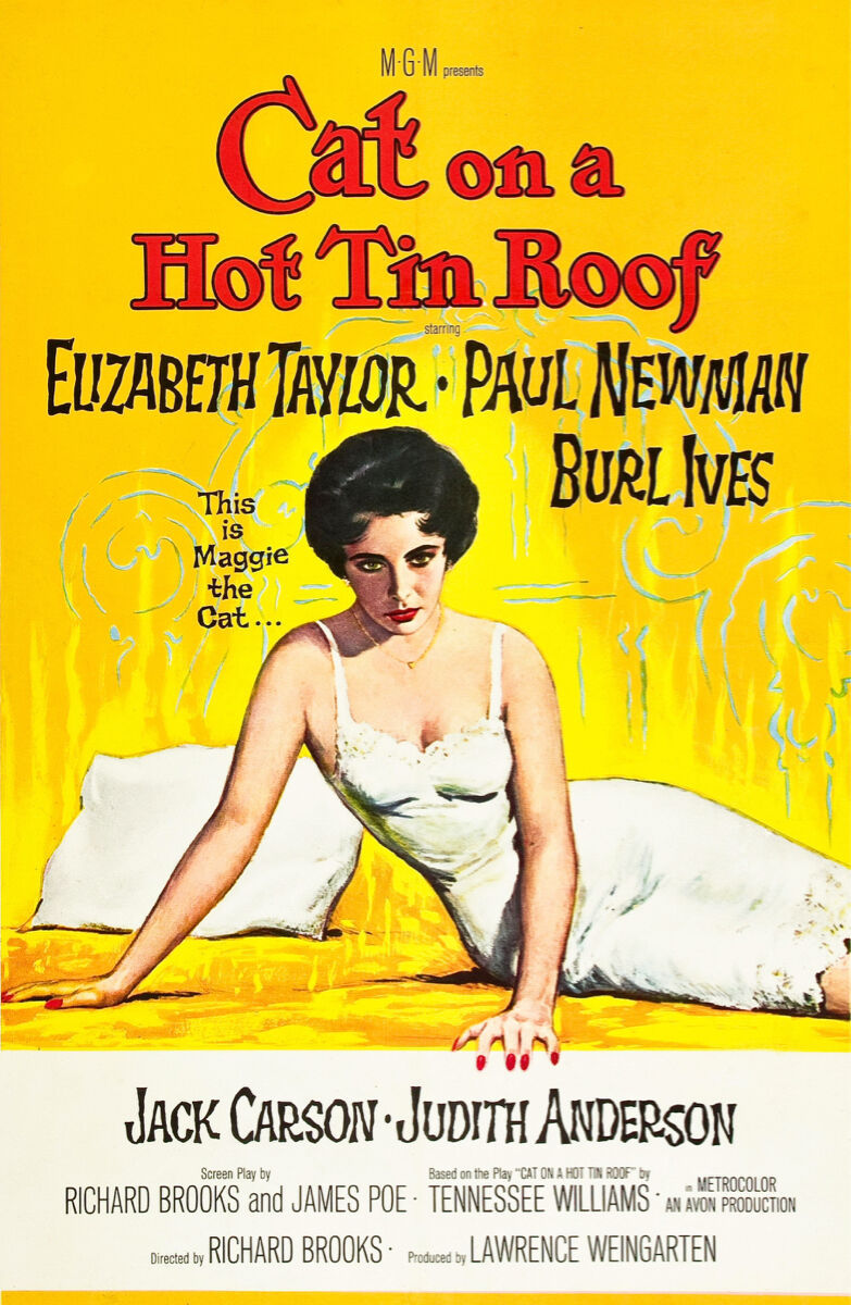Primary image for 20x30"Poster Decor.Room design art print.Cat Hot tin roof movie film.6076