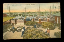 Vintage Linen Postcard Sponge Exchange Market Sponge Fleet Florida Fishing - £11.60 GBP