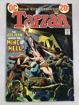 Tarzan Comic Book 215 Vol 25 DC Comics 1972 Edgar Rice Burroughs - $19.79