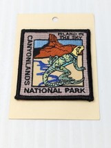 Island in the Sky Canyonlands National Park Utah Collared Lizard Souvenir Patch - £14.09 GBP