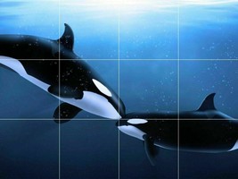 affectionate orca killer whale fish ocea ceramic tile mural backsplash medallion - £46.69 GBP+