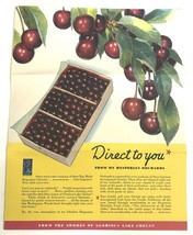 1940s Myron Foster Hesperian Orchards Wenatchee Washington Brochure Blac... - £12.58 GBP