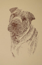 Chinese Shar Pei Dog Art Portrait Print #74 Kline will add dogs name fre... - $49.45