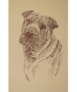 Chinese Shar Pei Dog Art Portrait Print #74 Kline will add dogs name fre... - £39.30 GBP