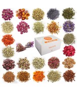24 Bags Dried Flowers 100 Natural Dried Flowers Herbs Kit for Soap Makin... - £28.01 GBP