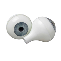 Life Size Adult Human FULL ROUND EYEBALLS w/STEM Body Parts Props Doll E... - $138.26 MXN