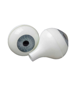 Life Size Adult Human FULL ROUND EYEBALLS w/STEM Body Parts Props Doll E... - $139.36 MXN