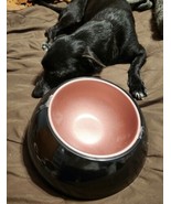 NEW Top Paw Feeding Bowl - Tilted Angle or Flat Stainless Steel Bowl -SL... - $274.29 MXN
