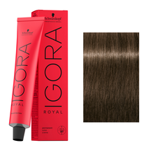 Schwarzkopf IGORA ROYAL Hair Color - 6-00 Dark Blonde Natural Extra