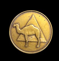 Camel Coin Medallion Coin AA NA Recovery Chip Bronze - £5.58 GBP