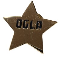 Gold Star OGLA Pin Lapel Pinback - £7.68 GBP