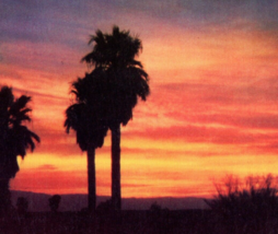 Sundown In The Southwest Postcard Vintage Desert Scene Evening Dusk - £11.56 GBP