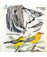 Warbler Varieties And Types 1966 Color Bird Art Print Nature #1 ADBN1o - $19.99