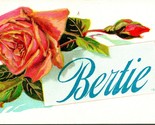 Vtg Large Letter Motto Name Spellout BERTIE Albert Bertram Robert Bertha... - £7.69 GBP