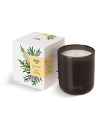 Sprig by Kohler Scented Aromatherapy Candle, Shield (Tea Tree &amp; Rosemary... - $644.37 MXN