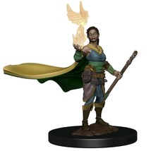 Dungeons &amp; Dragons Premium Elf Female Druid Miniature - $21.94