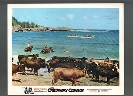 Castaway Cowboy-James Garner-Vera Miles-Robert Culp-11x14-Color-Lobby Card - £21.72 GBP