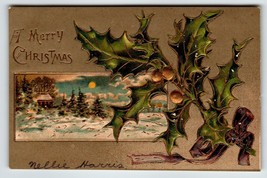 Christmas Postcard Poinsettia Leaves Gold Trimmed Moon Cottage Embossed Germany - $7.84