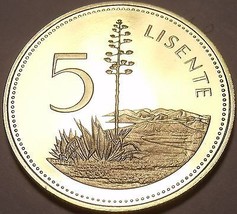 Selten Beweis Lesotho 1979 5 Licente~10k Minted~Kiefer Among Hills - $11.21