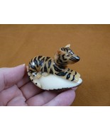 TNE-TIG-368-b) BENGAL TIGER Wild cat TAGUA NUT palm Figurine TIGERS CATS - €41,08 EUR